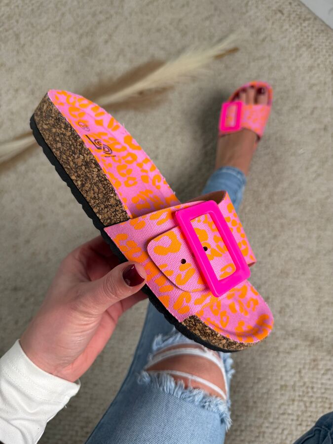 Clasp Print Slides