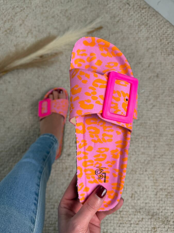 Clasp Print Slides