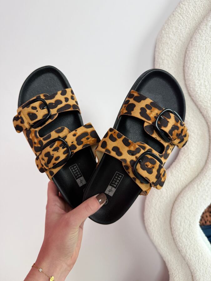 Rikki Leo Slides